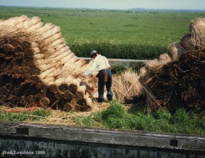 reedcutter_nlambton1986 Reed Cutter on the River Yare c1986