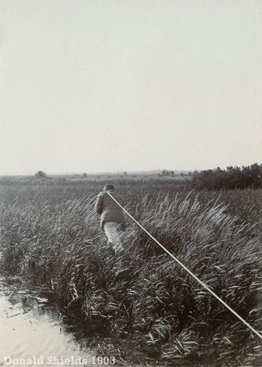 On Tow 1903