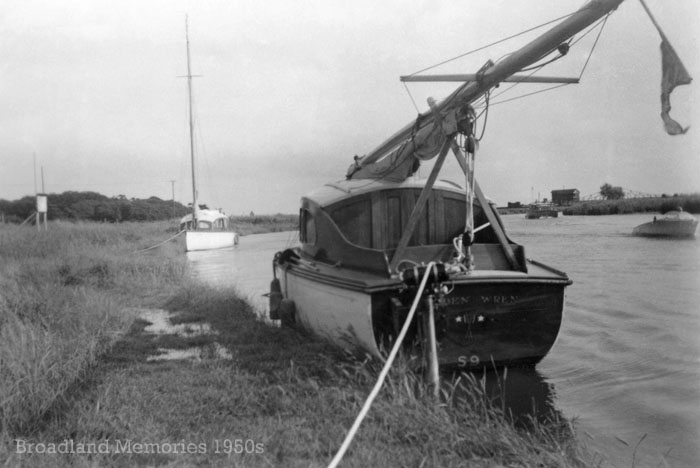 Golden Wren at Somerleyton 1950s