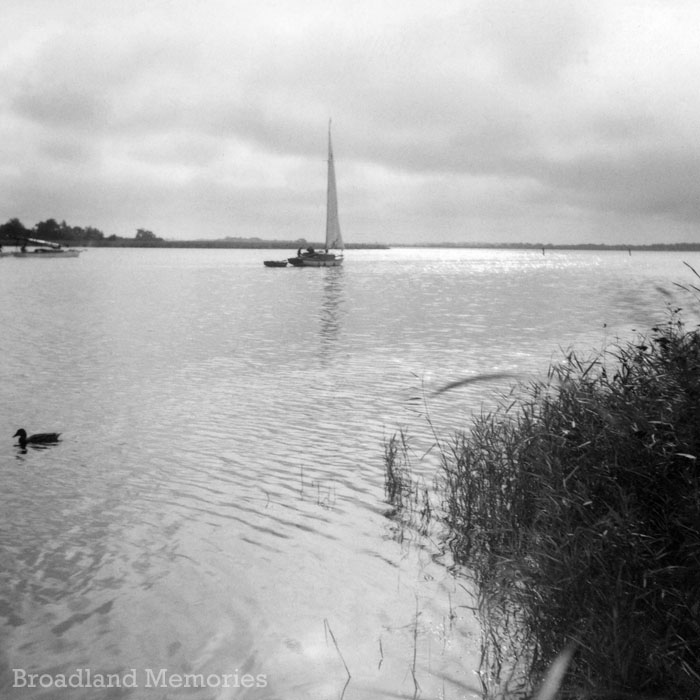Hickling Broad 1955