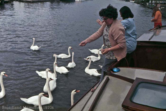 Feeding Time 1970s