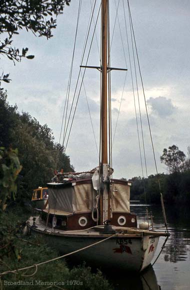 Woodlark 1970s