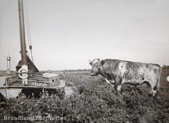 Pleasure wherry Naiade