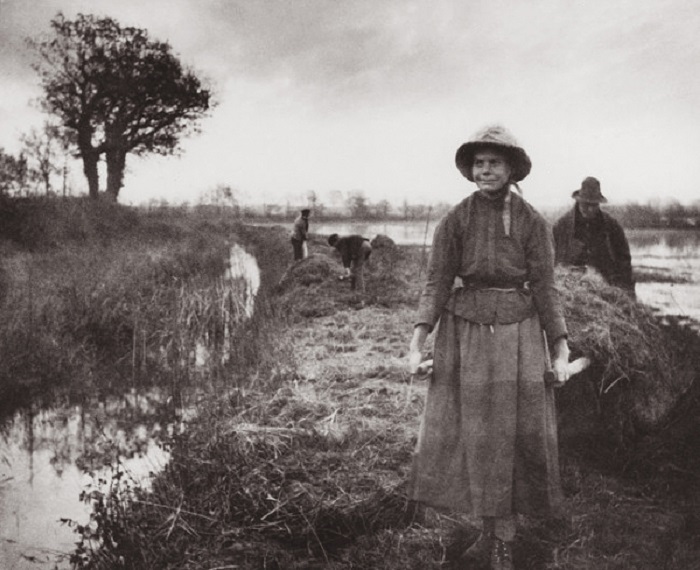 Poling The Marsh Hay