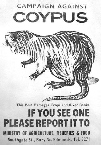 1960s Campaign agianst coypus poster